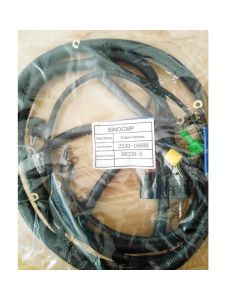 Faisceau de câbles moteur 2530-1608B 25301608B pour pelle Doosan Daewoo SOLAR 220LC-V SOLAR 220LL SOLAR 220N-V
