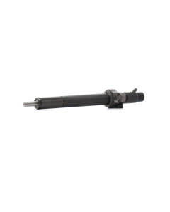 Fuel Injector R06001D For Kia Carnival