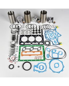 Hitachi Excavator EX25-2 Engine Overhaul Rebuild Kit for Kubota D1105-KA