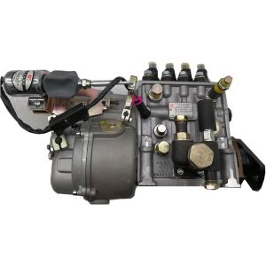Fuel Injection Pump CB4P426 For Sinotruk Engine WD415.24C02 from www.soonparts.com