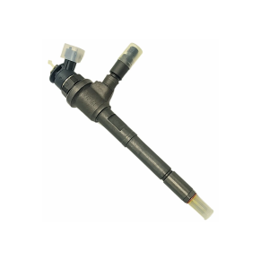 Fuel Injector 0445110810 0 445 110 810 For Bosch