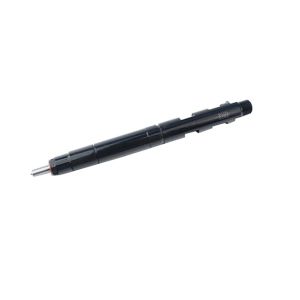 Fuel Injector EJBR05501D For Hyundai KIA Bongo from www.soonparts.com