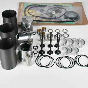 PC50UU-1 Baggermotor-Überholungs-Umbausätze für Komatsu-Motor 3D95S-W-1D