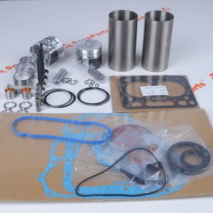 Z482-E3B Overhaul Rebuild Kit for Kubota Engine Z482-E3B